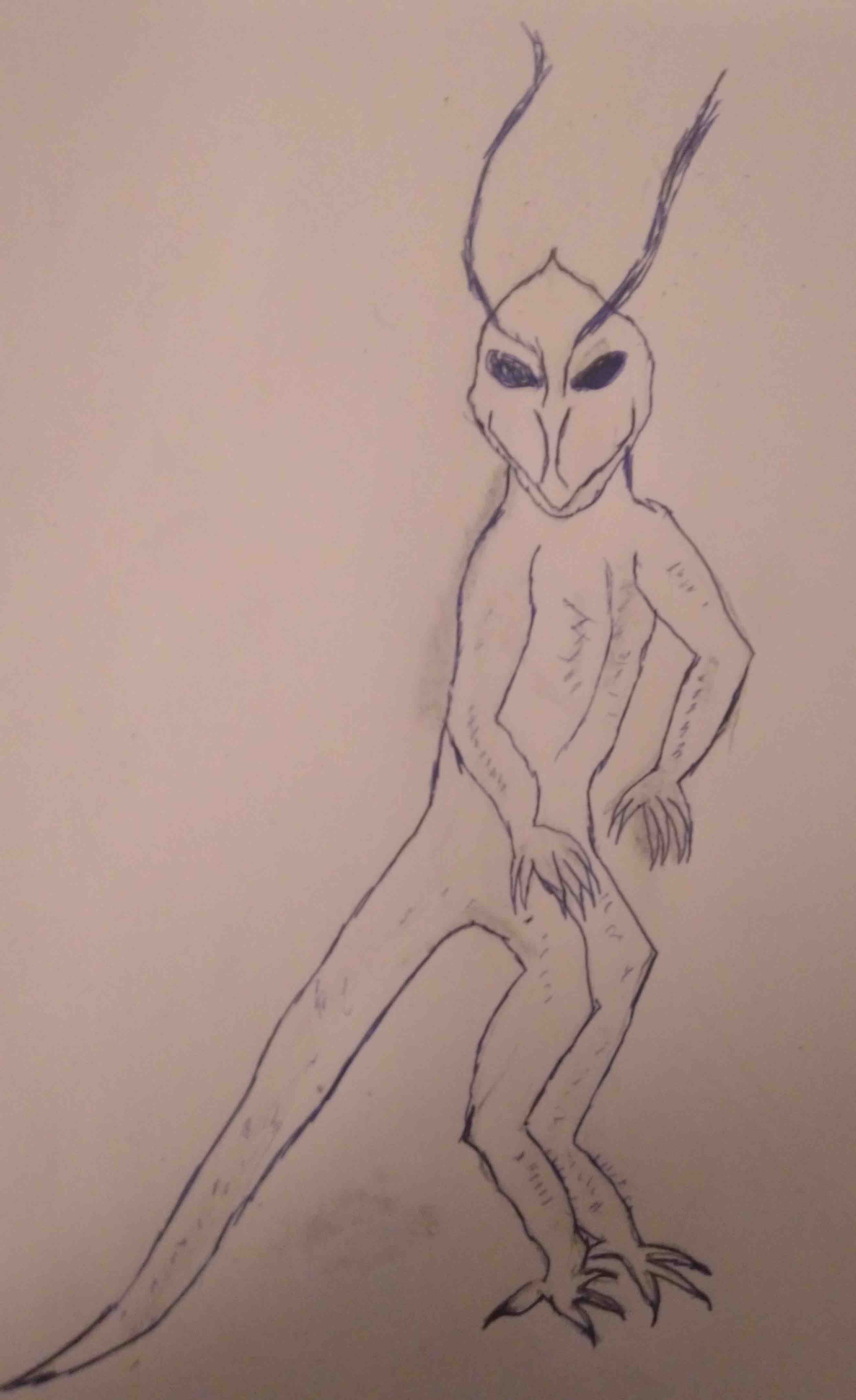 Bug.jpg