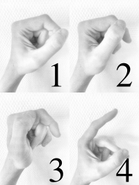 count.png