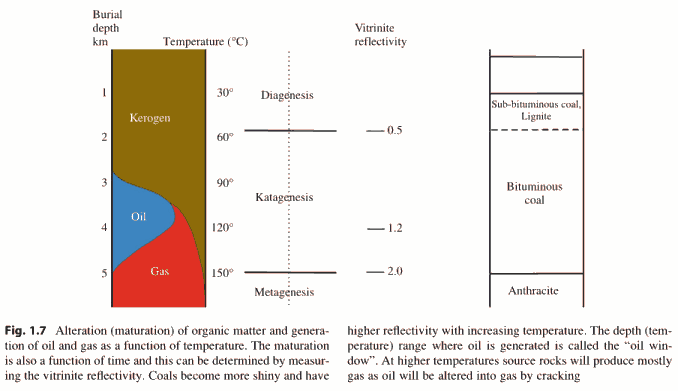 oil-formation.png