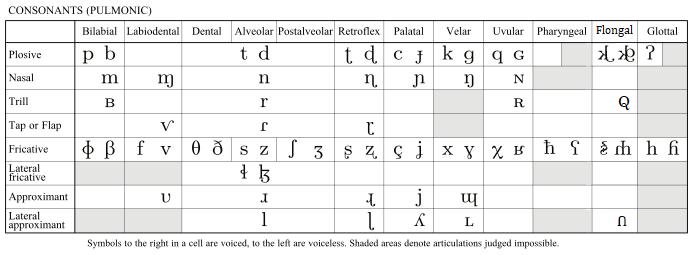 IPA chart extended with flongal consonant symbols