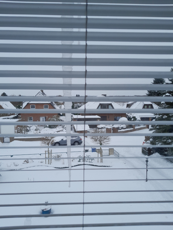 icicle.jpg