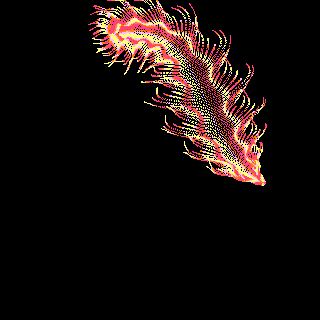 QVBLOOM1.PNG
