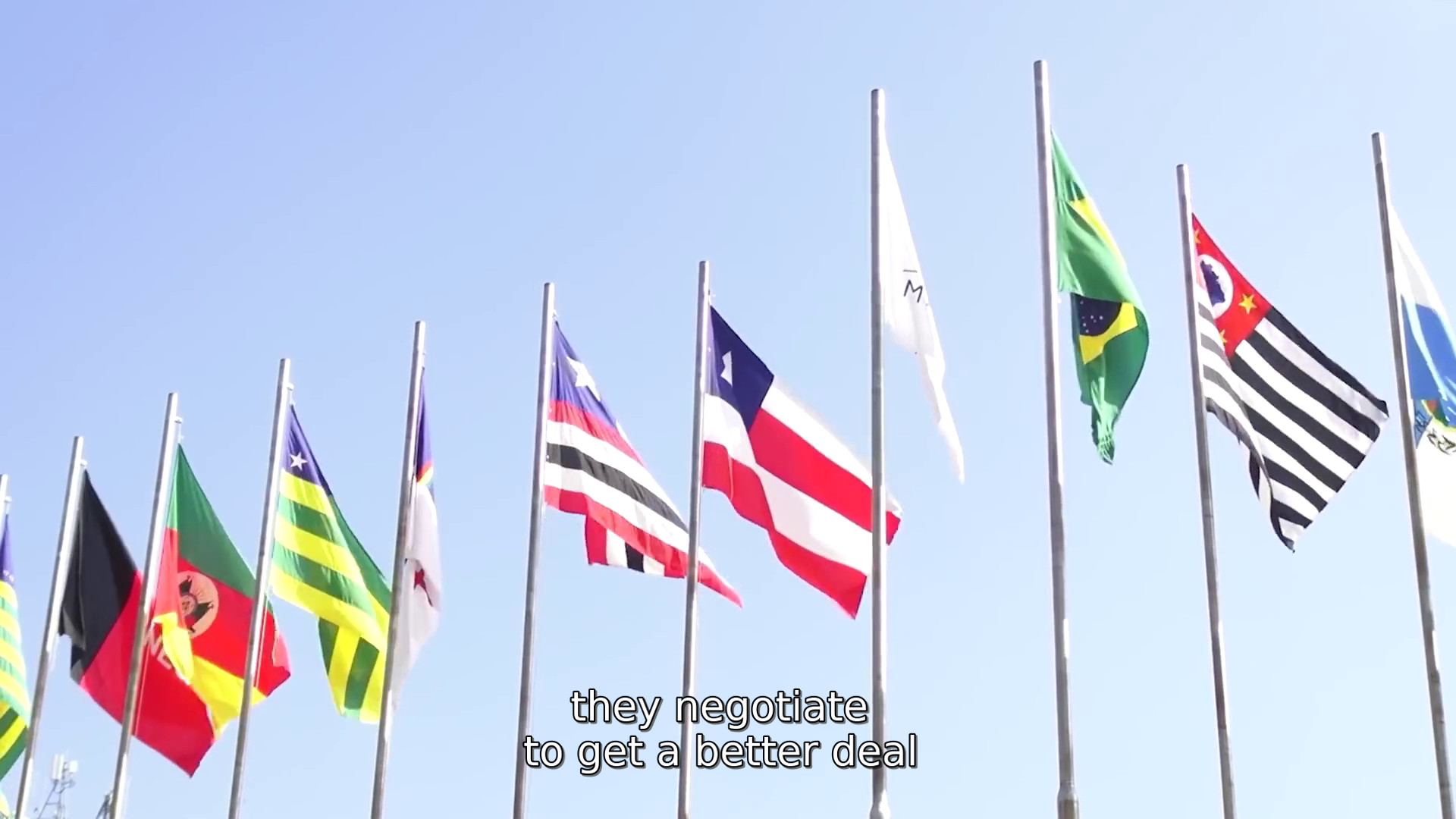 flegs.jpg